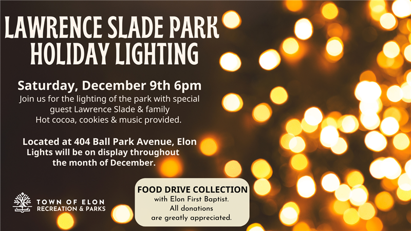 Holiday Lighting